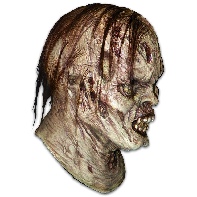 Mask, head and neck, right view. Stringy dark hair, rotten flesh with boils and sores. left eye white, right eye yellow, lips rotted away exposing dirty teeth.