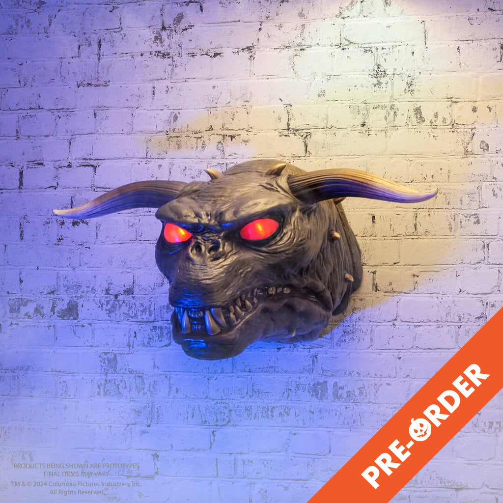 white painted brick wall background orange diagonal banner, bottom right, white text reads pre-order. Wall mounted demon dog head. Gray wrinkled skin, short square muzzle with sharp teeth, small pug-like nose between lighted red eyes. two large horns on either side of head smaller spikes on top and sides.