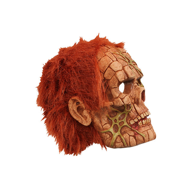 Right side view of Mask. Skull-like face, made up of squares made to look like stones, Sinew- like webbing across forehead, left eye socket and both sides of jaw, short bushy red hair.