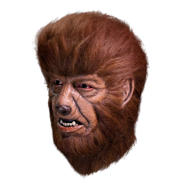 Left side view. Werewolf mask. wolf-like face, snout with dark brown nose, mouth has canine teeth. surrounded with fluffy brown fur, covering head, forehead, cheeks chin and neck.