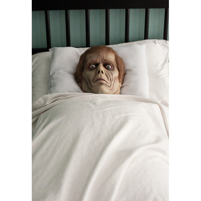 Roger pillow prop. Head and neck, red brown hair, wide red-rimmed blue eyes, furrowed brow, frowning mouth, resting on pillow. set in bed with covers pulled up to chin.