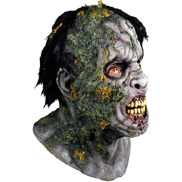 Mask, head and neck. Right side view. Gray decayed flesh, short black hair. Moss on right side of forehead, face and neck. Dark circles around bloodshot yellow eyes. lips shriveled showing dark gums and large yellowed teeth.