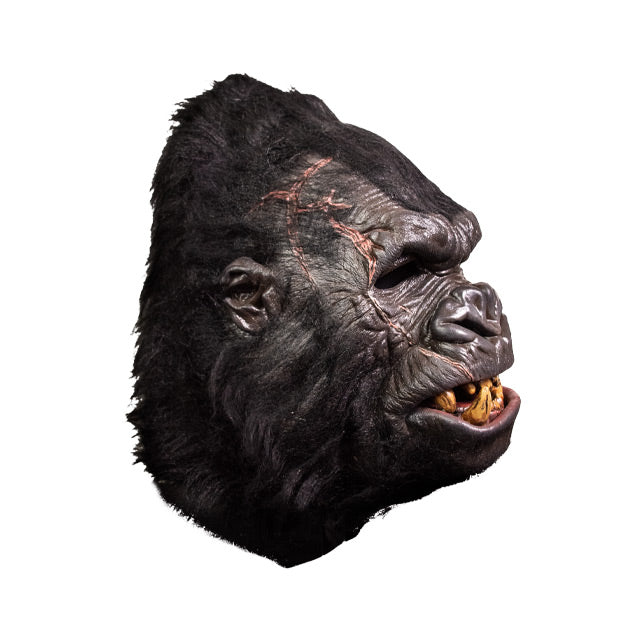 Gorilla mask, realistic gorilla face. right side view.