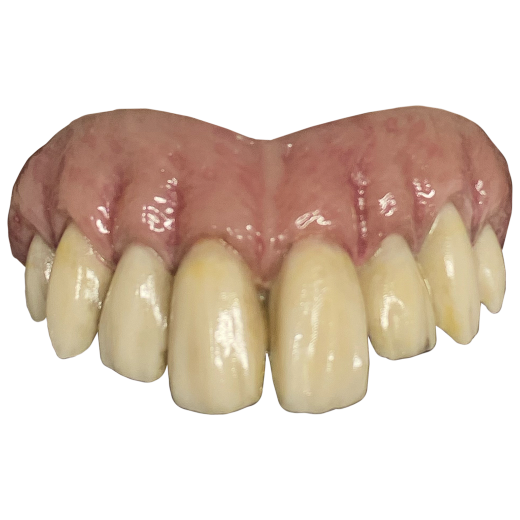 Costume teeth. upper teeth only elongated, set in pink gums