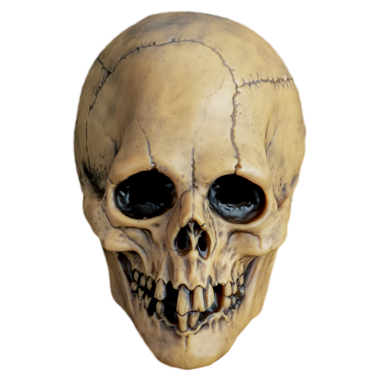 JM168-mabry-aged-voodoo-skull- JM168-mabry-aged-voodoo-skull-