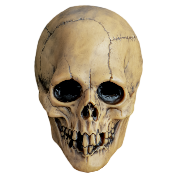 JM168-mabry-aged-voodoo-skull-