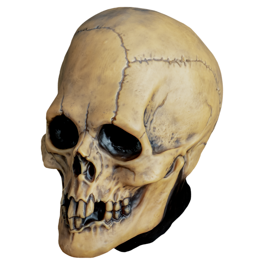 skull mask, left view. aged off-white , cracked skull, missing some teeth. black shading. 