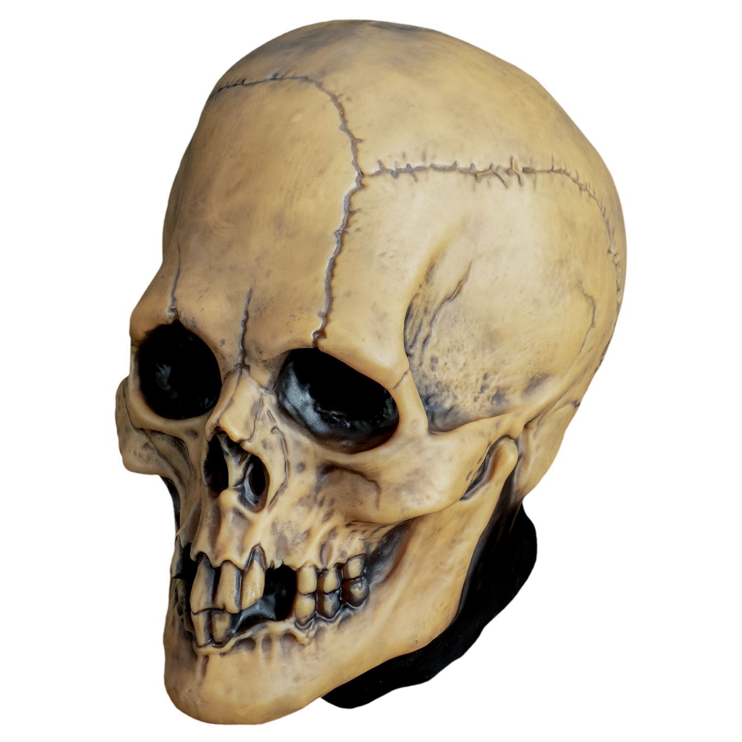 【バリエム新品未使用】Valiem MONSTER MOUTH SKULL VALIEM MONSTER MOUTH BOWL Sサイズ 【公式通販】