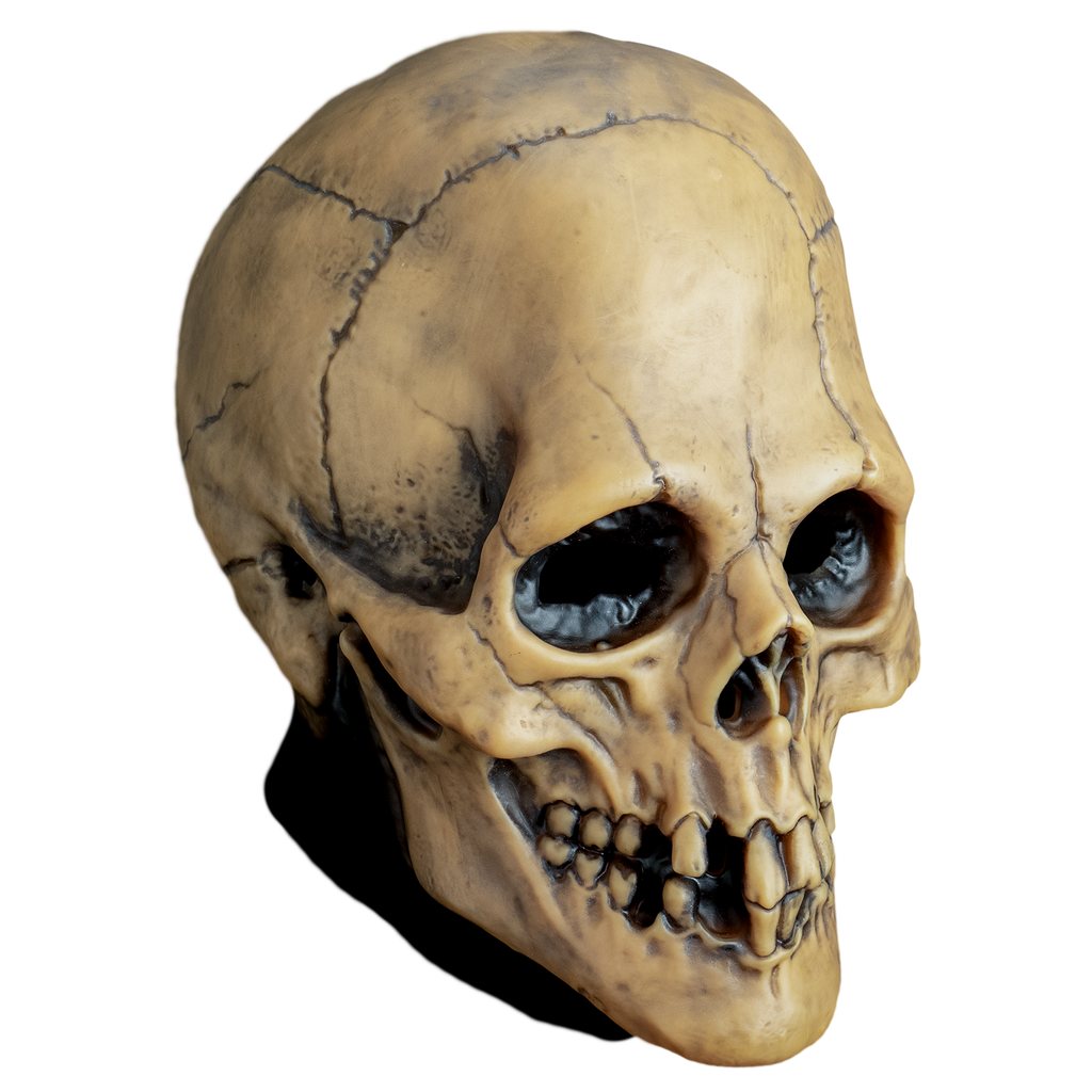 skull mask, right view. aged off-white , cracked skull, missing some teeth. black shading. 