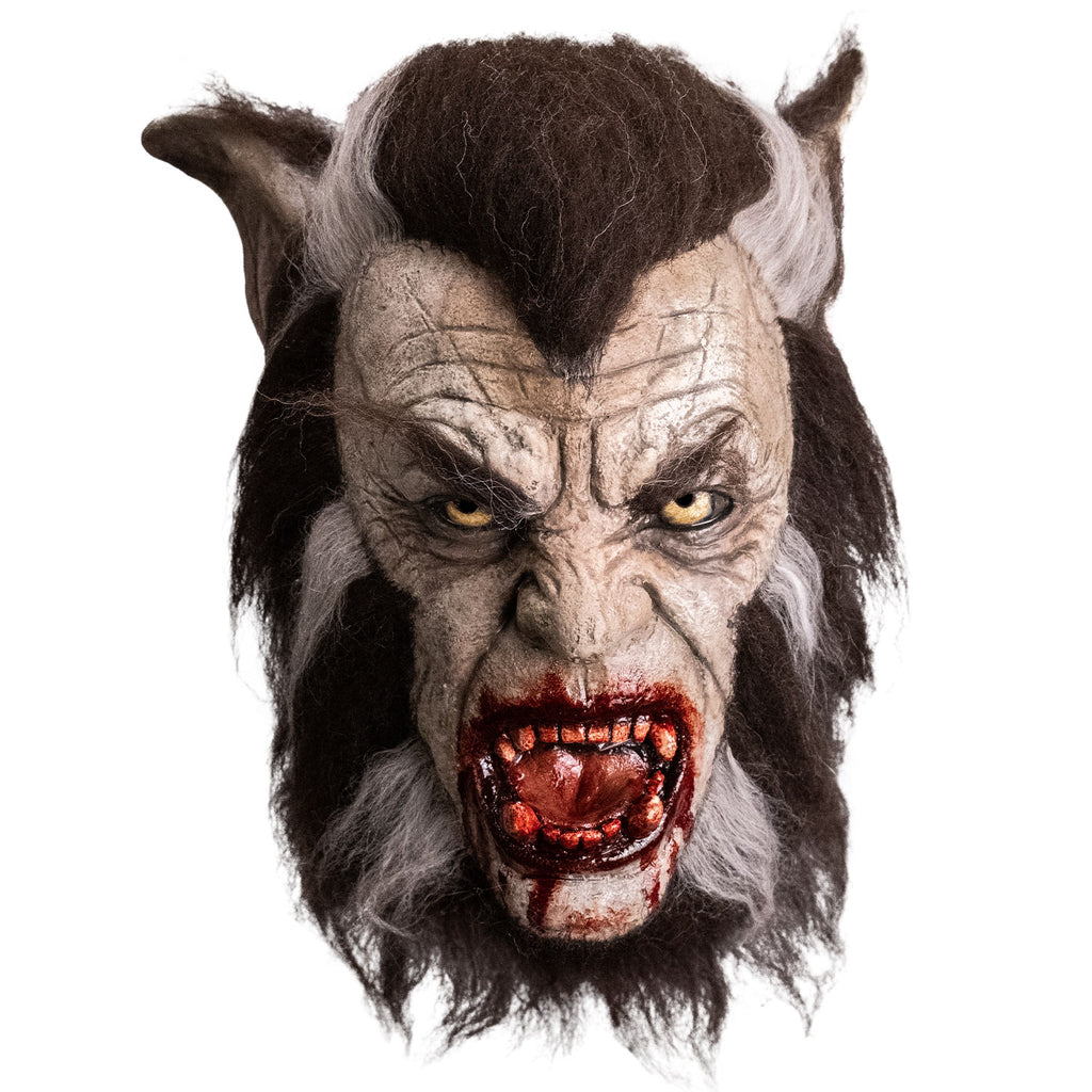 Mask, front view.  Werewolf.  Dark brown fur with white streaks on large canine ears and framing the face.  Pale wrinkled skin.  Bushy eyebrows, yellow eyes.  Mouth is open in a snarl with blood on lips, chin and large teeth.