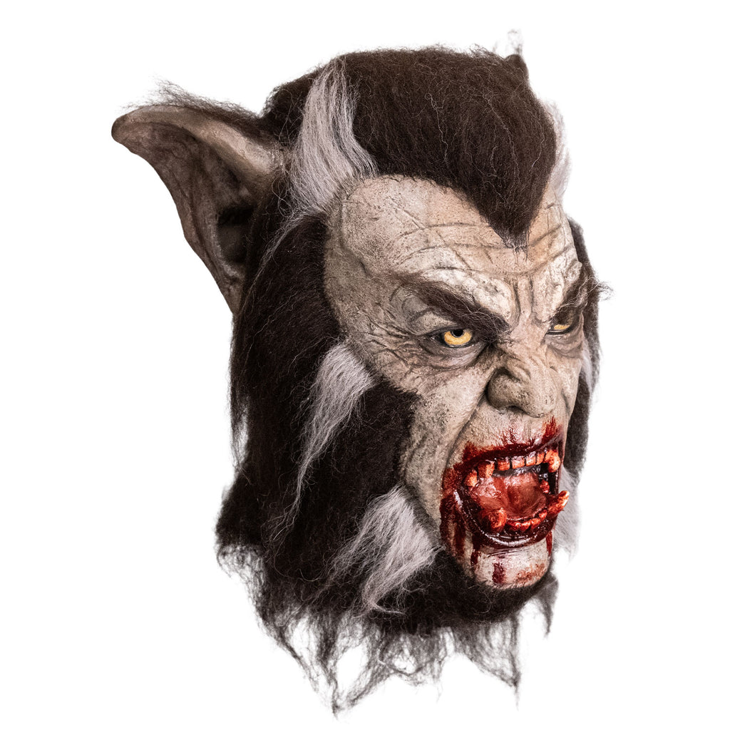 Mask, right side view.  Werewolf.  Dark brown fur with white streaks on large canine ears and framing the face.  Pale wrinkled skin.  Bushy eyebrows, yellow eyes.  Mouth is open in a snarl with blood on lips, chin and large teeth.