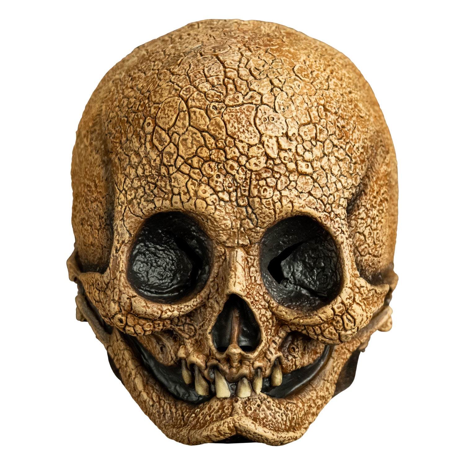Illusive Concepts - Cranial Skull Mask – Trick Or Treat Studios