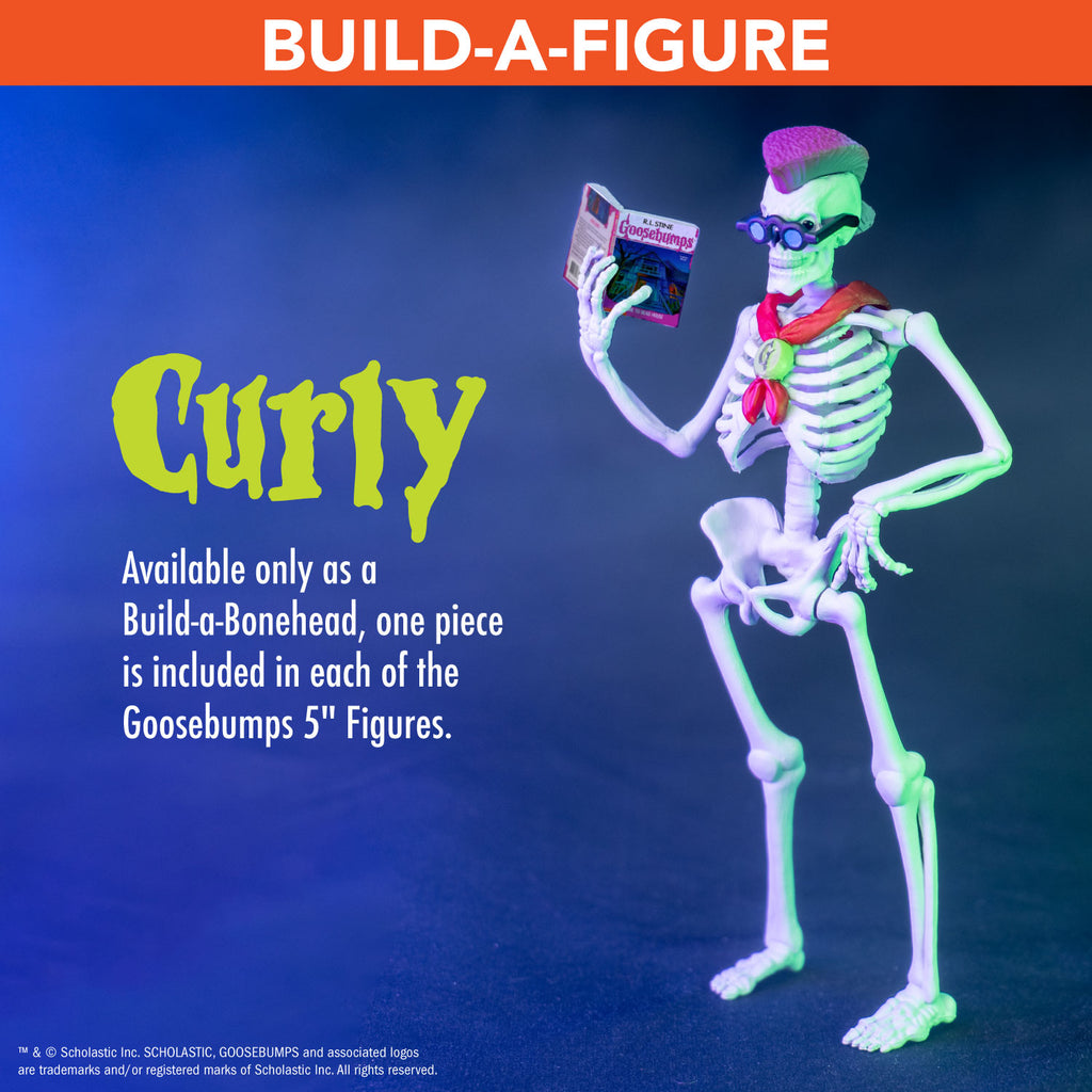 orange horizontal banner at top, white text reads Build-a-figure.  Blue background, bright green text reads Curly, white text reads Available only as a build a bonehead, one piece is included in each of the goose bumps 5 inch figures. manufacturing and licensing information.  White skeleton figure, white grinning skull face, pink mohawk, large eyes, wearing blue round sunglasses. holding a book in right hand.