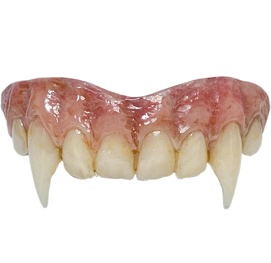 Costume vampire teeth, top teeth, pink gums, dirty teeth with large canine fangs.