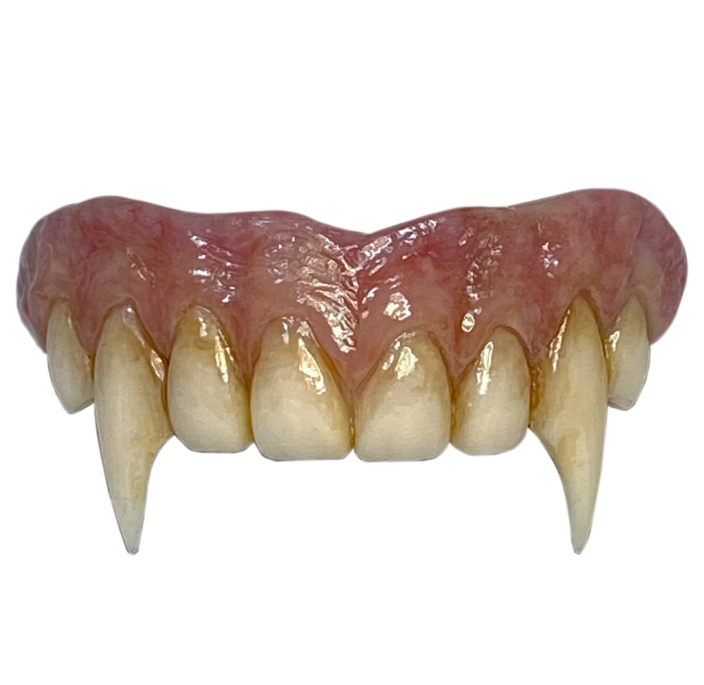 Costume vampire teeth, top teeth, pink gums, dirty teeth with large canine fangs. 