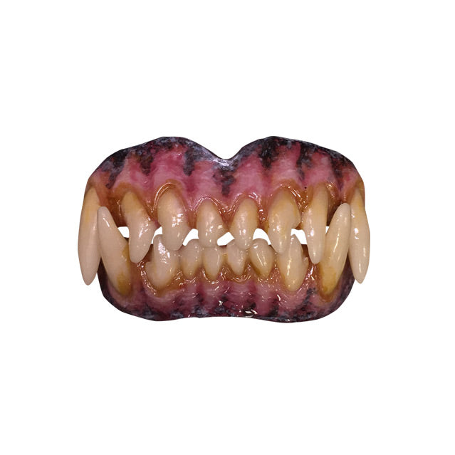Costume teeth.  Wolf like dirty teeth with enlarged canine fangs in pink and black gums.
