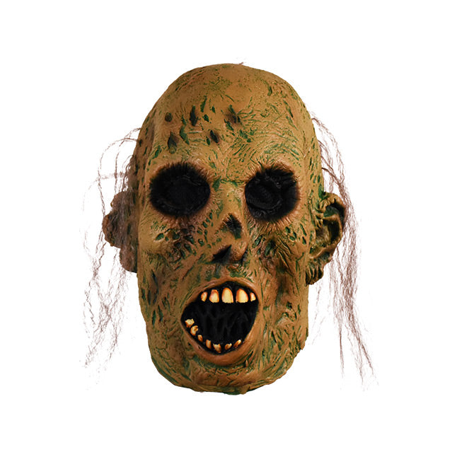 Mask.  Brown pocked and mossy green skin.  Mostly bald with sparse stringy long hair on sides.  Black eye sockets, misshapen ears and crooked nose.  Large wide open mouth with dirty crooked teeth.