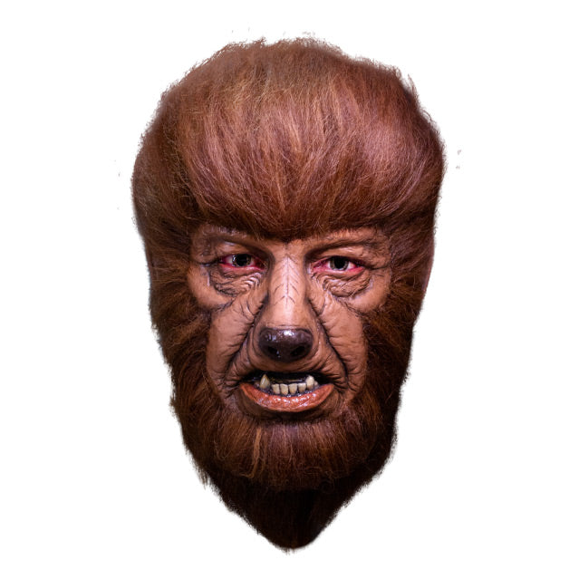 Front view, Werewolf mask.  wolf-like face, snout with dark brown nose, mouth has canine teeth.  surrounded with fluffy brown fur, covering head, forehead, cheeks chin and neck.