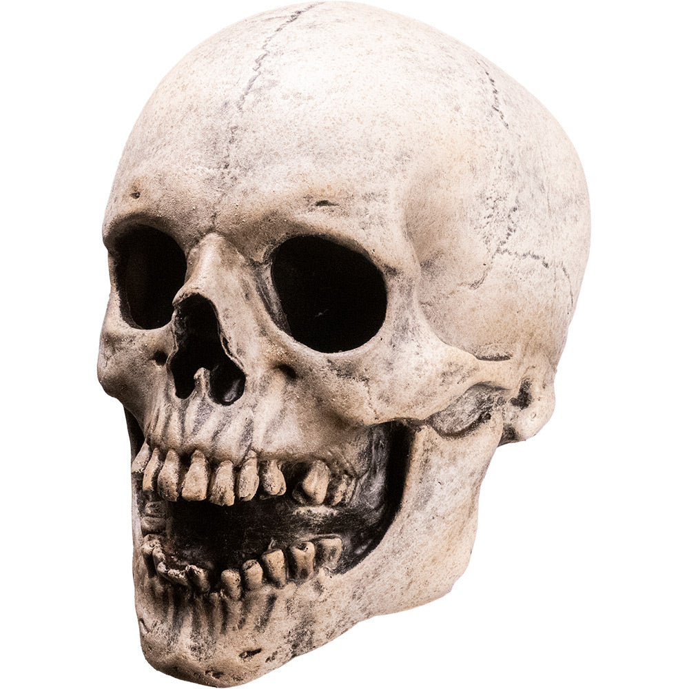 Mask, left side view. Skull face, mouth open.