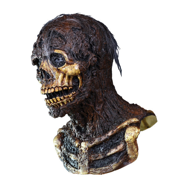 Left side view. Nate mask, head neck and upper chest. Skeleton and skull, with sparse rotten flesh and gray hair attached.