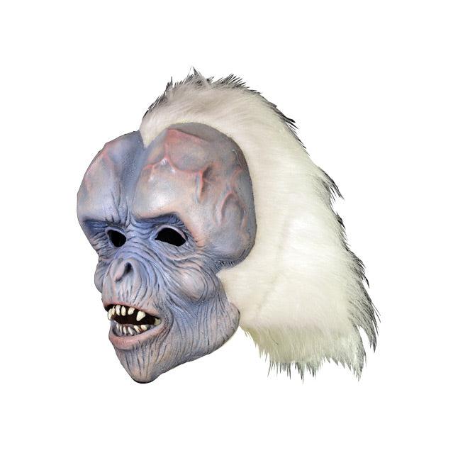Left side view Mask. Ape-like face, pale white, blue and pink skin, wrinkled around brows, eyes, cheeks and mouth. Enlarged forehead with bulging veins. Slightly open mouth with sharp teeth. Bushy white hair with widow's peak.
