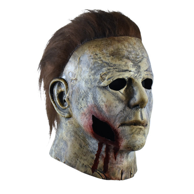 Right side view, mask, head and neck. Aged and distressed gray skin, dark brown hair, large bloody wound on right jaw.