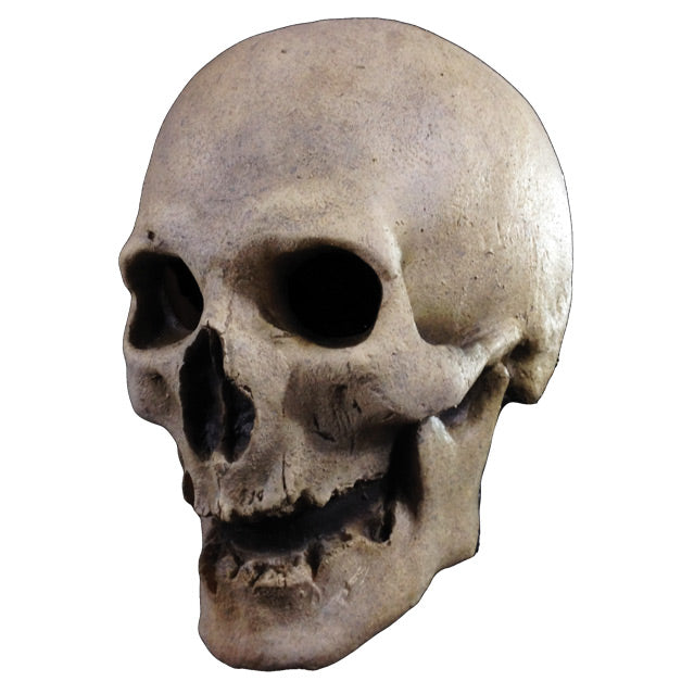left side view.  Simple, realistic, skull mask, head. No teeth.