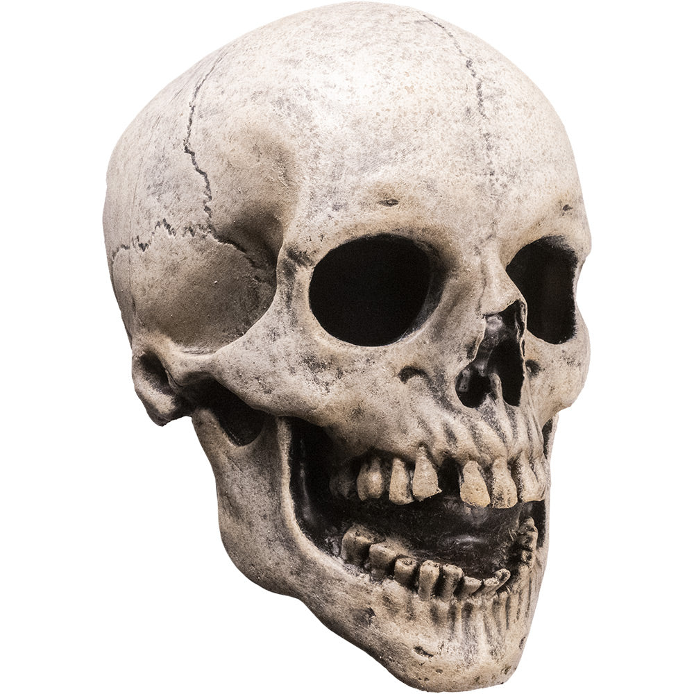 Mask, right side view. Skull face, mouth open.