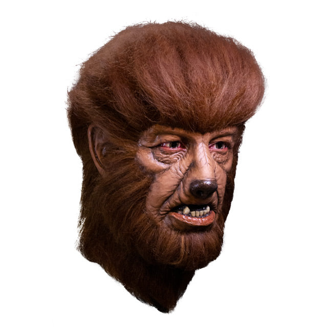 Right side view. Werewolf mask. wolf-like face, snout with dark brown nose, mouth has canine teeth. surrounded with fluffy brown fur, covering head, forehead, cheeks chin and neck.
