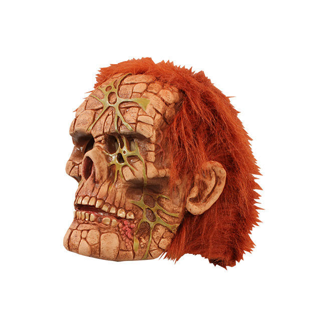 Left side view of Mask. Skull-like face, made up of squares made to look like stones, Sinew- like webbing across forehead, left eye socket and both sides of jaw, short bushy red hair.