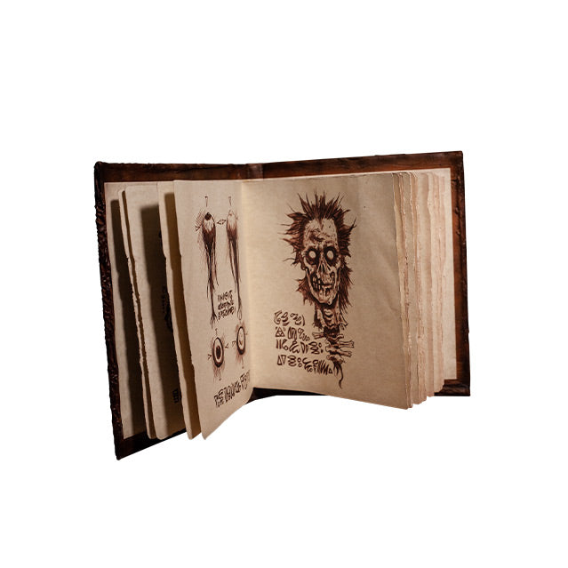 Bok of the Dead prop. Open showing pages with illustrations on weathered pages.