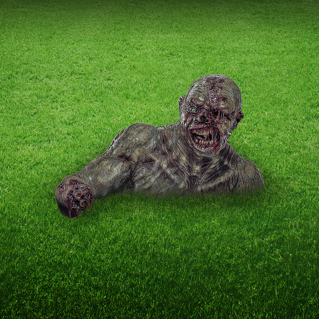Prop. Gory Zombie rising from the ground, grass background. Rotting gray flesh. Bald Head, missing left eye, gory open mouth full of teeth, shoulders and chest, right arm missing forearm and hand.